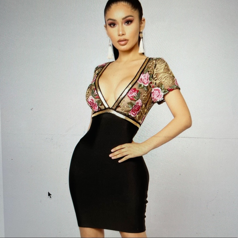 Fashion nova mini dress with embroidered top